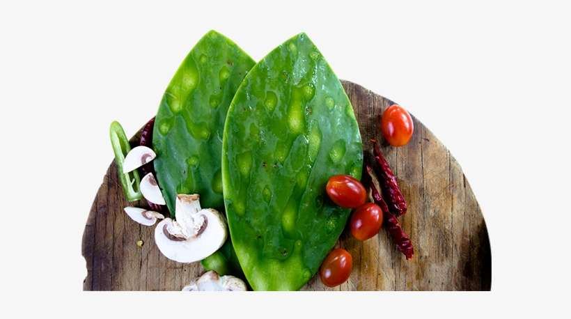 Historia - History, transparent png download