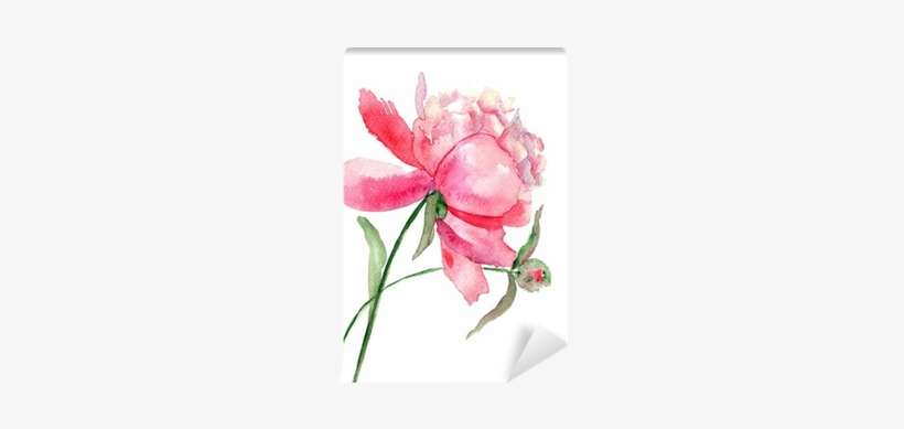 Beautiful Peony Flower, Watercolor Painting Wall Mural - Watercolor Flower Drawing, transparent png download