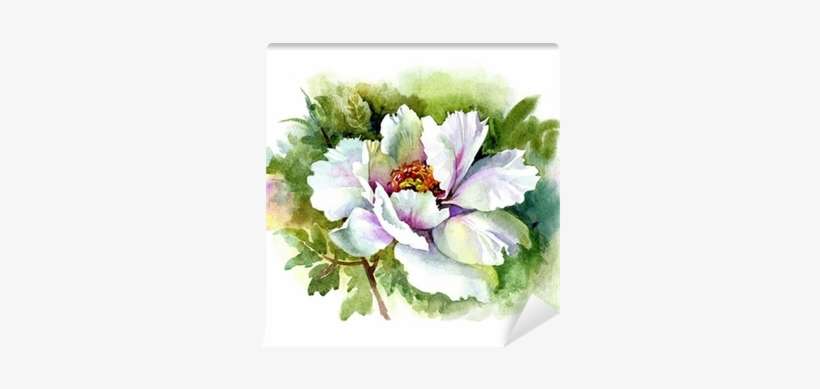 Watercolor Flower Collection - Watercolor Painting, transparent png download