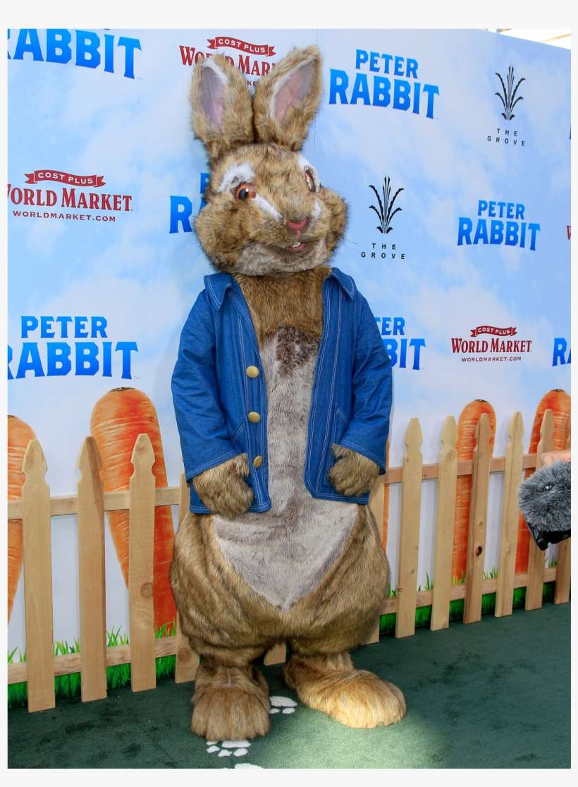 Peter Rabbit Loses His Sh*t Yet Again - Cost Plus World Market, transparent png download