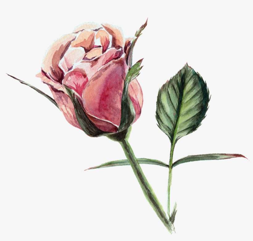 This Graphics Is Red Flower, Watercolor, Transparent - Flower, transparent png download