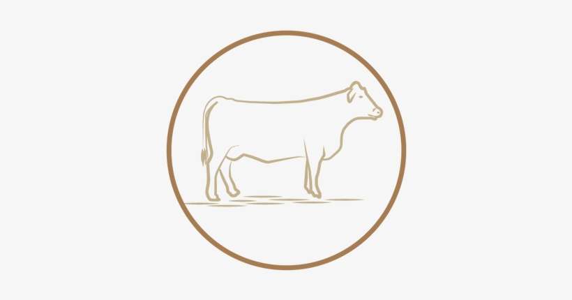 Ground Beef, Per Pound - Culture, transparent png download