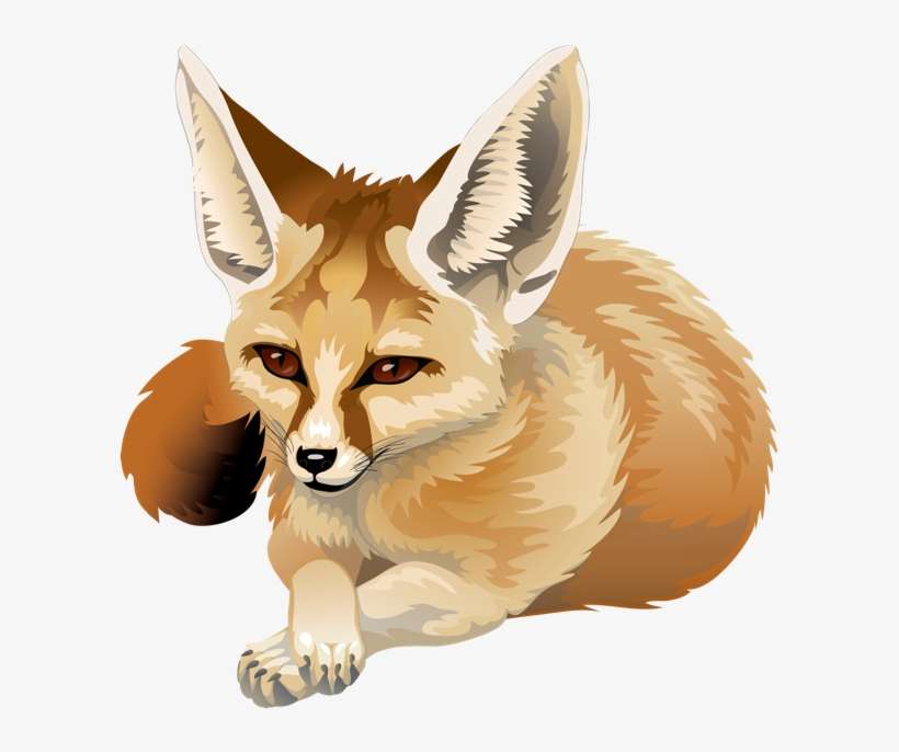 By Silvercrossfox On Deviantart - Fennec Png, transparent png download