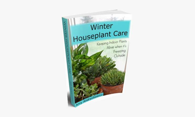 Houseplant Care, transparent png download