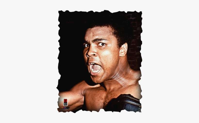 Cassius Marcellus Clay Jr - Muhammed Ali At 70, transparent png download