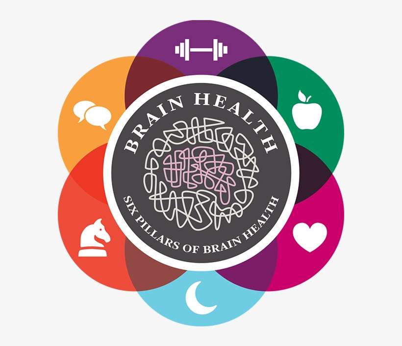 Pillars Of Brain Health - 6 Pillars Of Alzheimer's Prevention, transparent png download