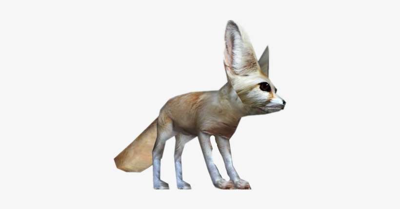 Fennec Fox, transparent png download