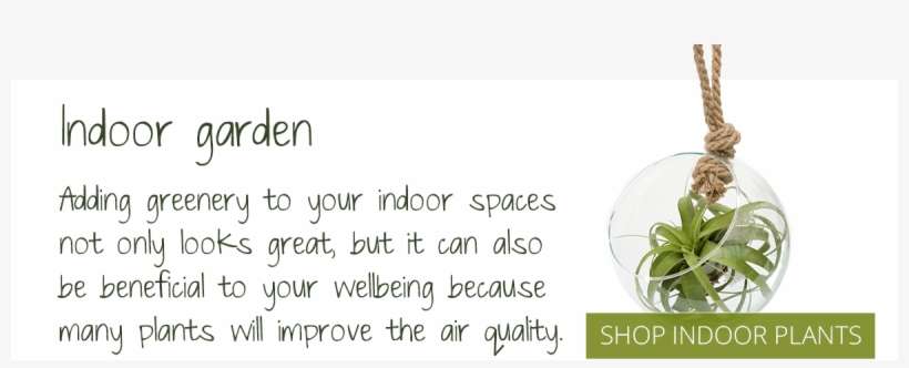 No One Has A Better Selection Of Indoor And Outdoor - Calligraphy, transparent png download