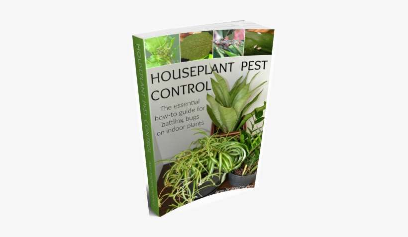 Houseplant Pests Control Ebook - Houseplant, transparent png download