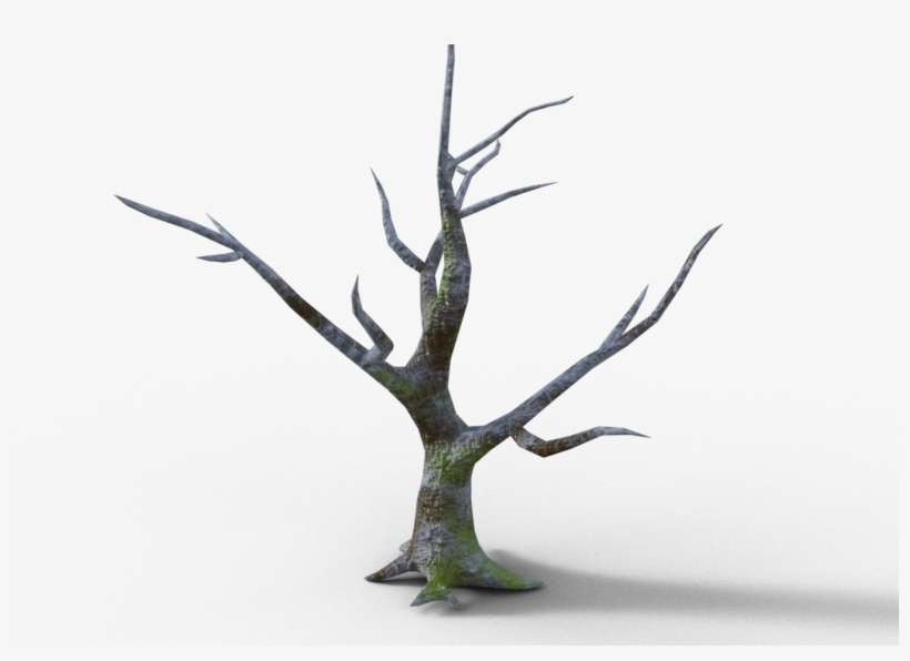 Tree, transparent png download