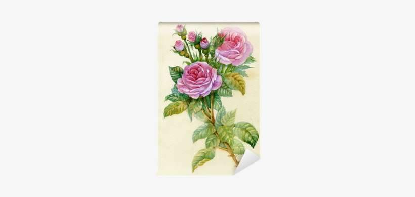 Watercolor Flower Collection - Watercolor Painting, transparent png download