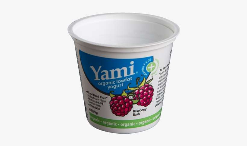 An Empty Yogurt Cup Or A Container For Kids' Paintbrushes - Empty Yogurt Container, transparent png download