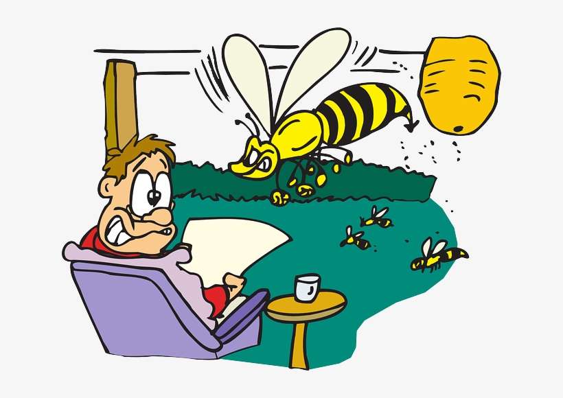 El Hombre Y La Abeja, transparent png download
