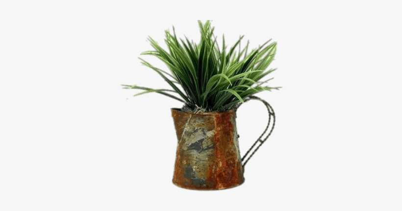 Download - Watering Can, transparent png download