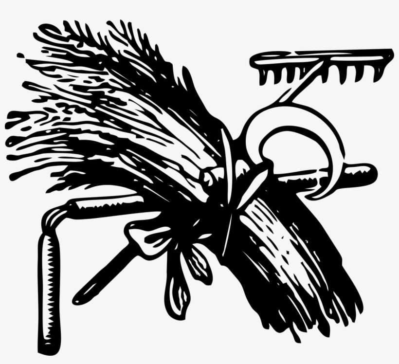 Wheat, Harvest, Farm, Field, Agriculture - Wheat, transparent png download