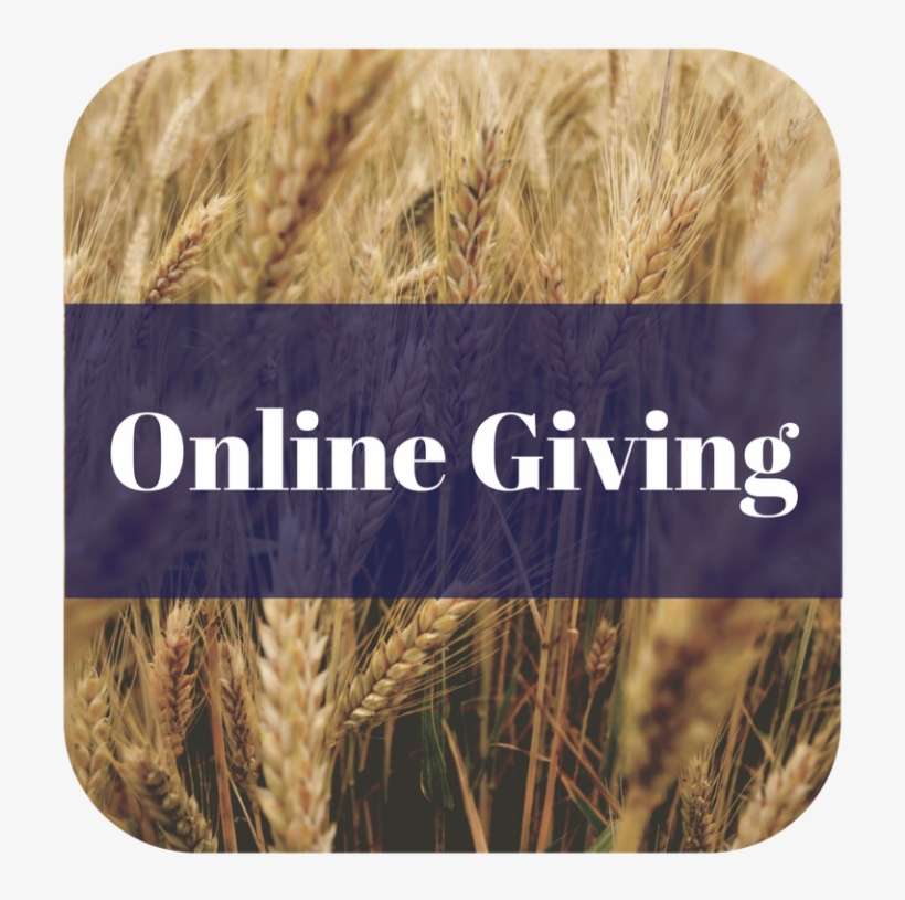 Praying The Promises Of God: Book 3 Prayer Works Series, transparent png download