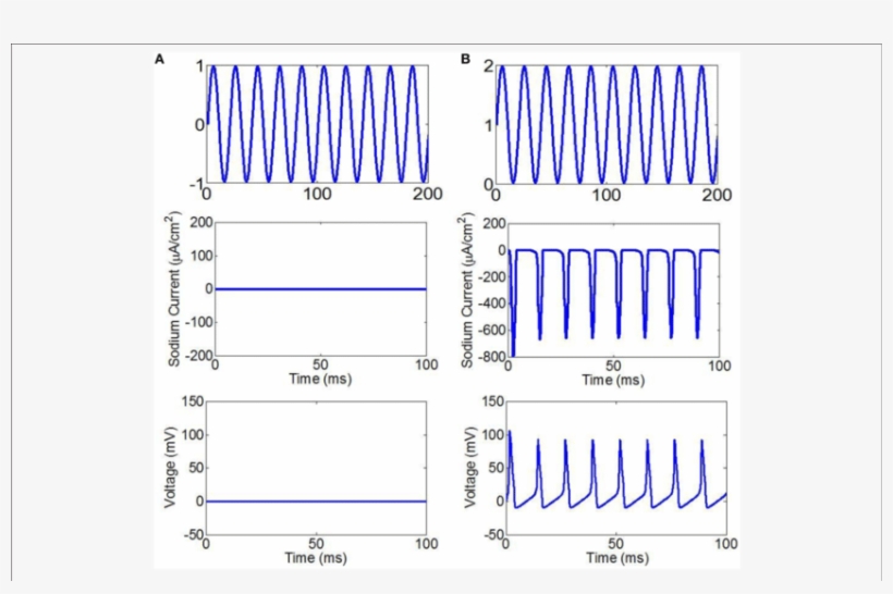 The Fundamental Wave Of Ultrasound With Sine Wave (top), - Wave, transparent png download