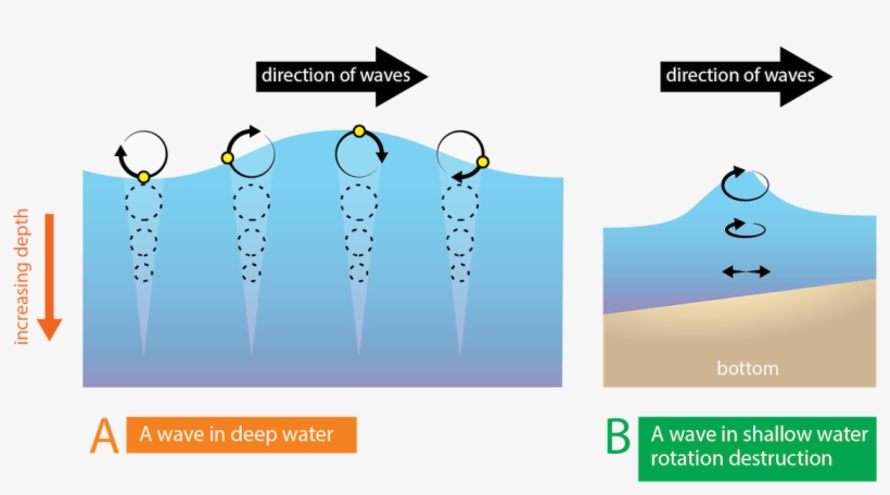 Graphic Black And White Stock Energy And Changes With - Do Water Particles Move In A Wave, transparent png download