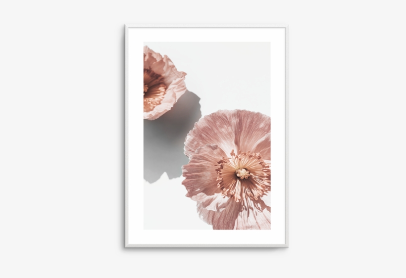 Abstract Poppies No 2 Abstract Poppies No - Poppy, transparent png download
