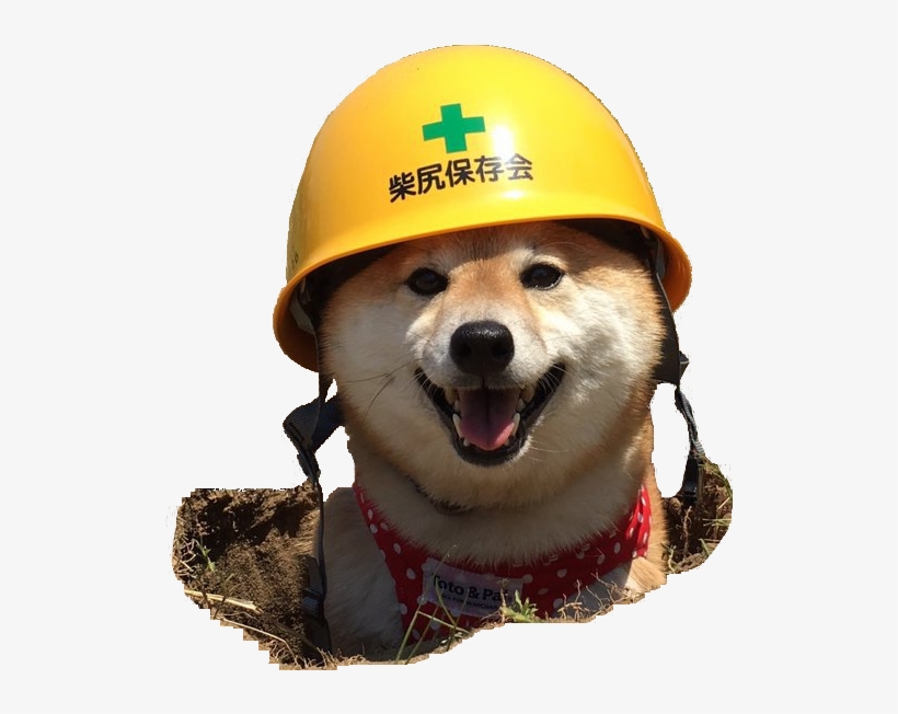 For Your Photoshopping Pleasures, Here Is A Cutout - Shiba Inu Wearing Helmet, transparent png download