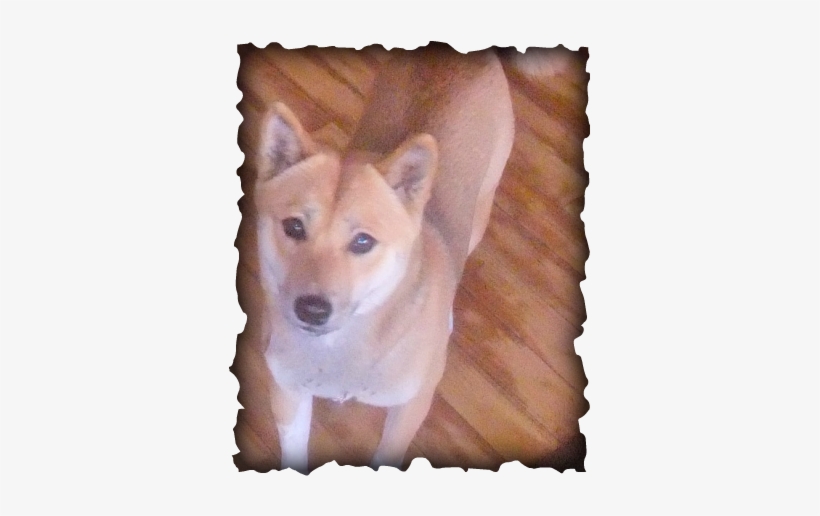 Im Alone Without U, transparent png download