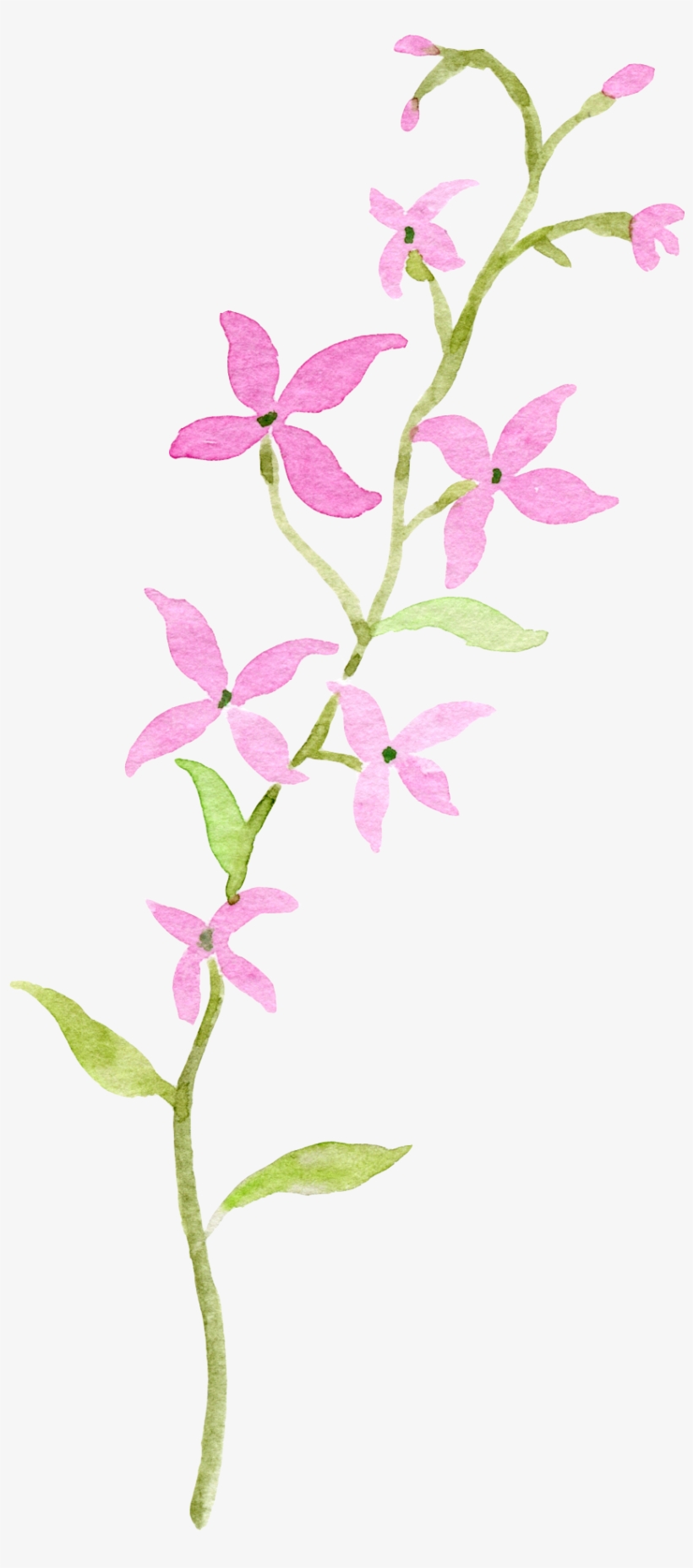 Watercolor - 0℃素材8 - Watercolor Painting, transparent png download