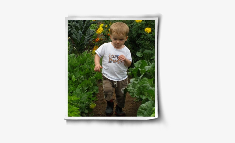 It Was A Real Treat To Be Able To Offer These Young - Toddler, transparent png download