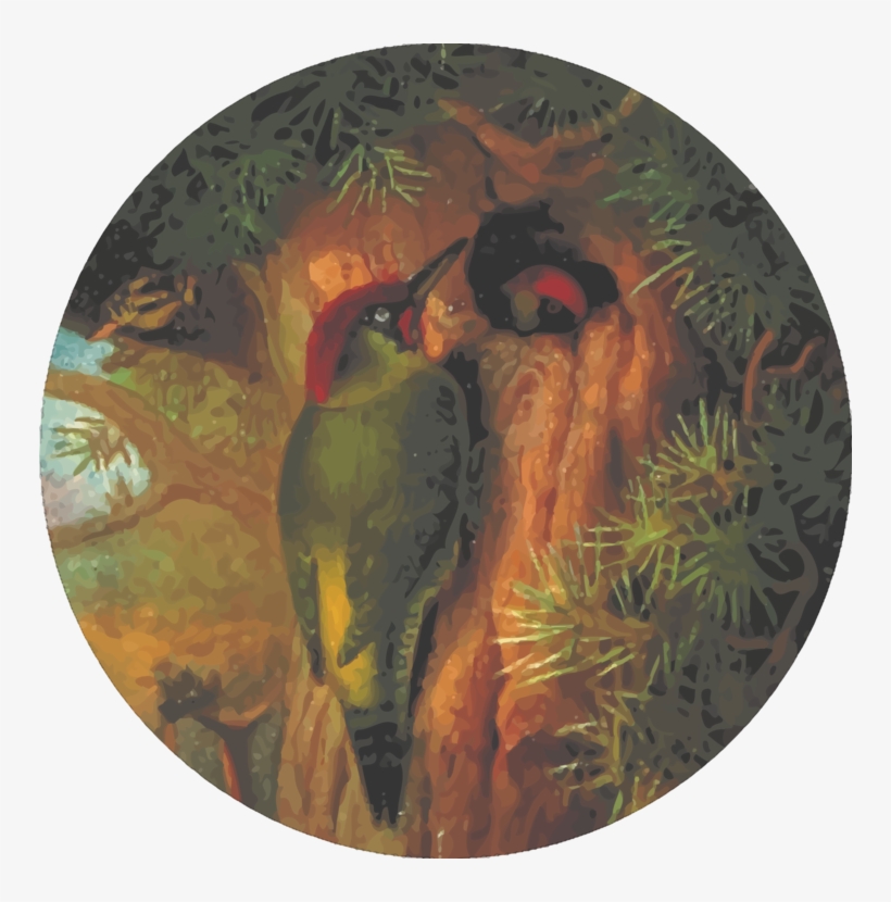 Woody Woodpecker Drawing Bird Sparrow - Vintage Wookpecker Chest Patch From A Drawing, transparent png download