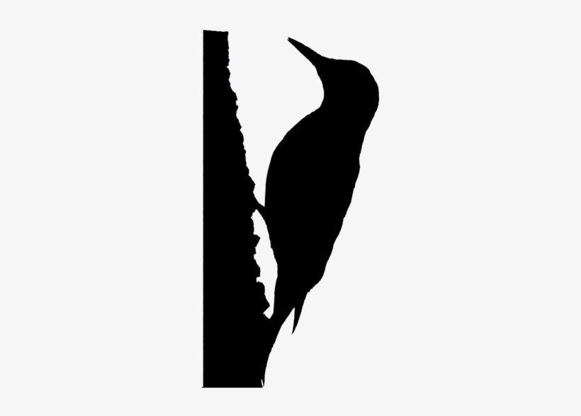 About 336 Free Commercial & Noncommercial Clipart Matching - Red Bellied Woodpecker Silhouette, transparent png download