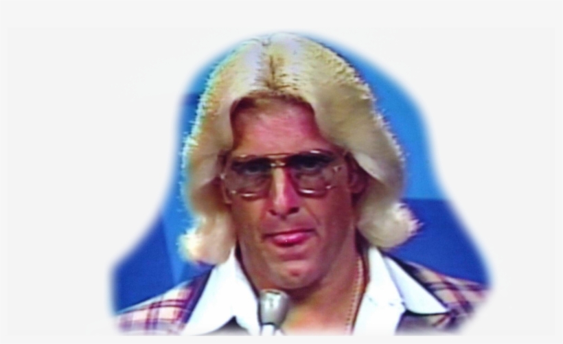 Visit - Ric Flair, transparent png download