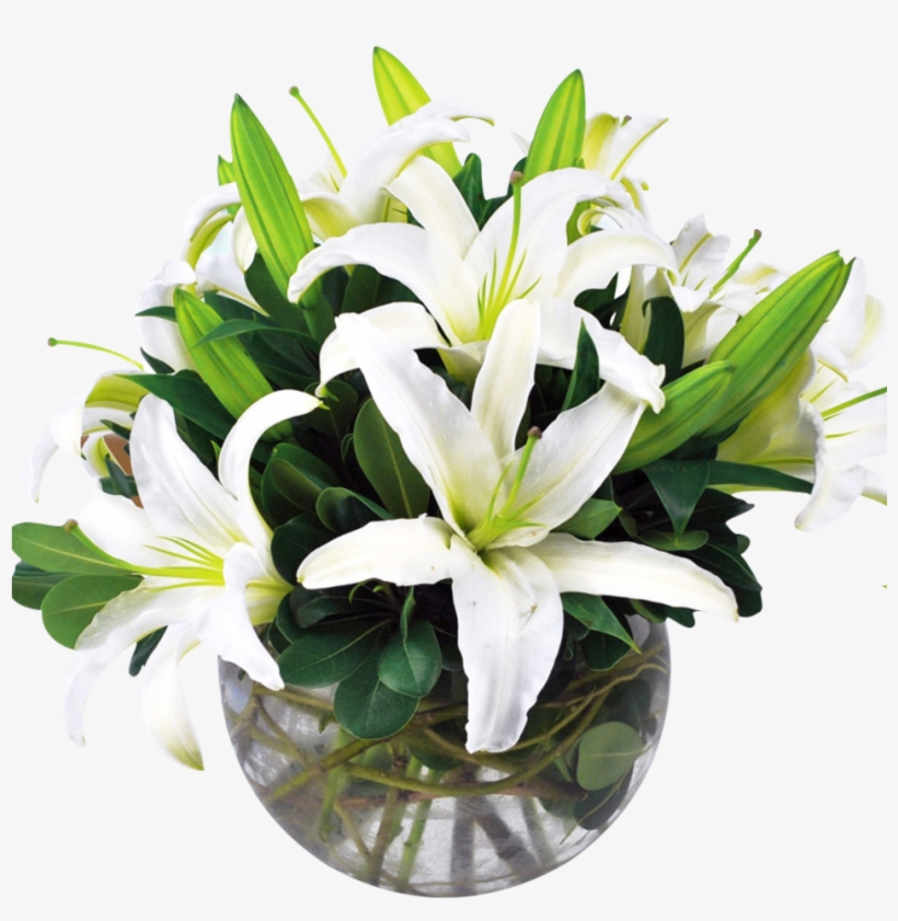 Round Look Of All White Lilies In A Bubble Bowl - Flower, transparent png download