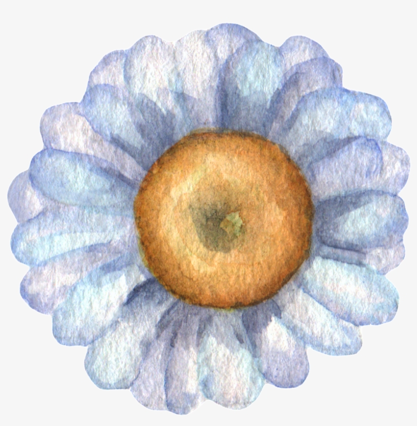 Hand Painted A Chrysanthemum Front View Watercolor - Watercolor Painting, transparent png download