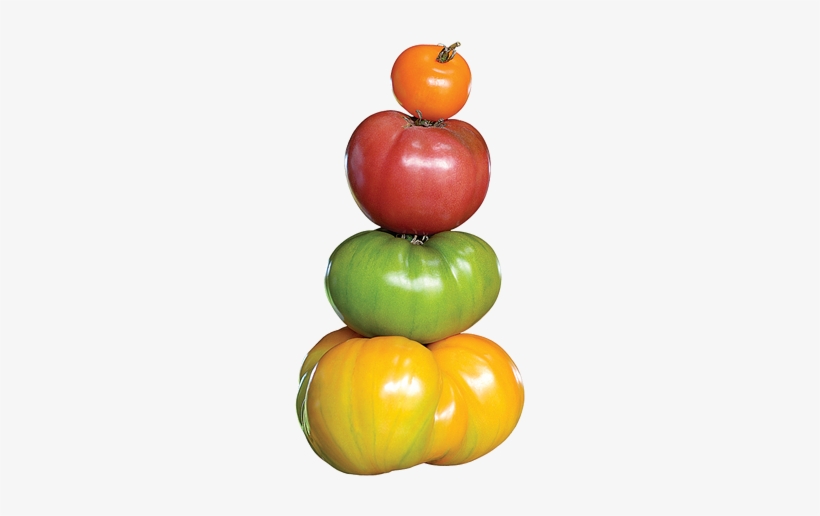 Heirloom Tomato Png, transparent png download