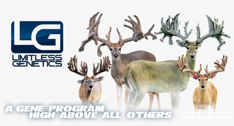 Limitless Genetics - Texas, transparent png download