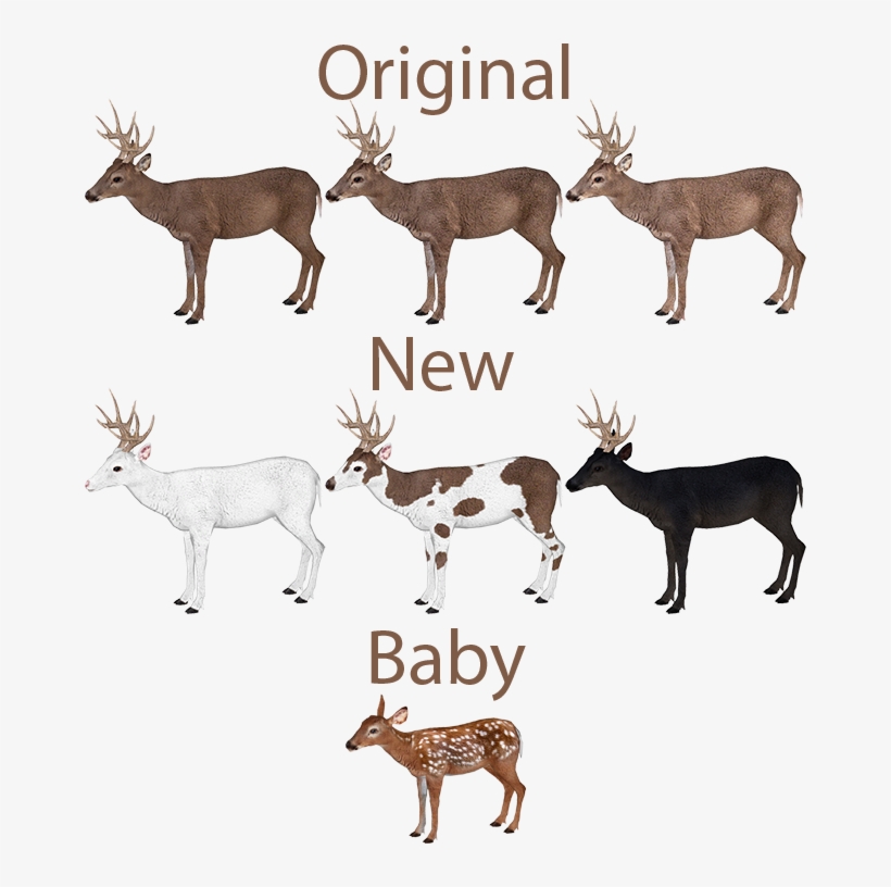 White-tailed Deer Variants Lgcfm - Zt2 2017 Downloads, transparent png download