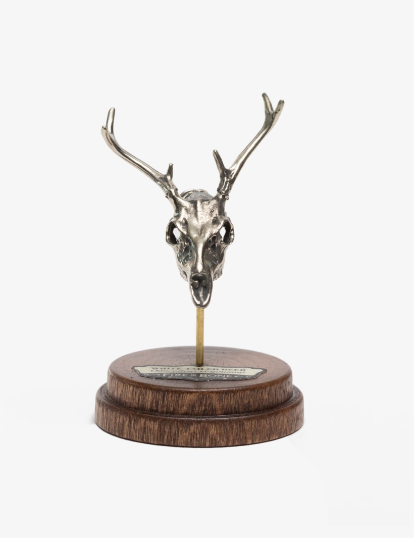 White-tailed Deer Pendant - Reindeer, transparent png download