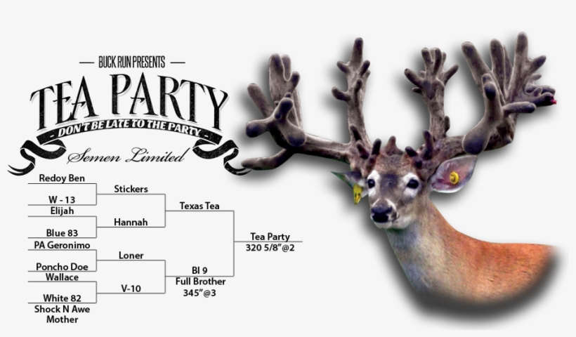 Tea Party Deer - Deer Farm, transparent png download