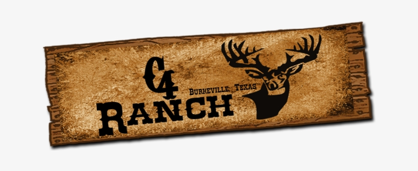 Texas Trophy Whitetail Hunting - Deer Hunting, transparent png download