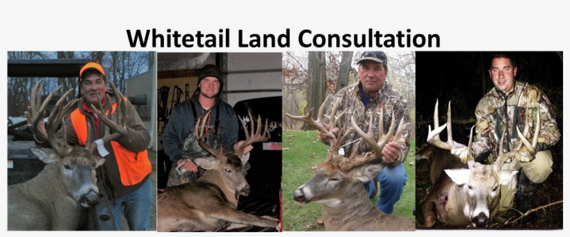Whitetail Land Consulting Heartland Lake And Land Management - Management Consulting, transparent png download