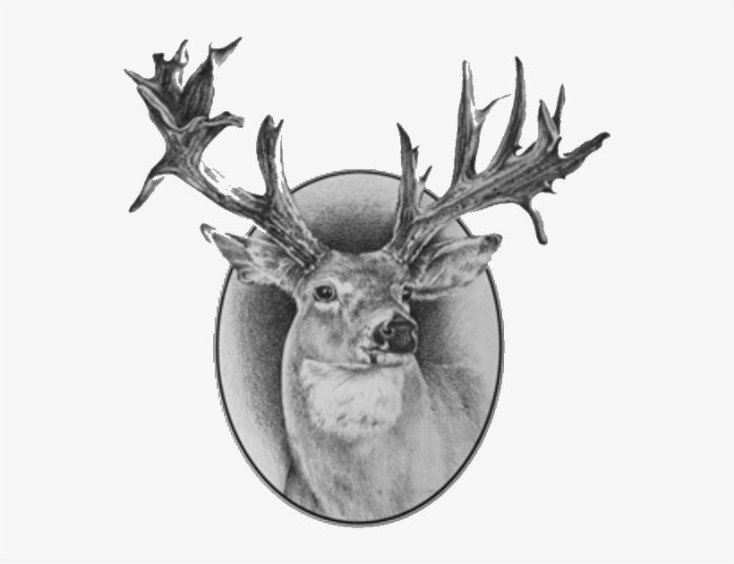 Legendary Northway Outfitters - Marketing, transparent png download