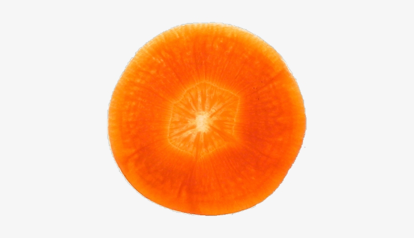 Carrots Png Sliced Clip Download - Fruits That Look Like Eyes, transparent png download