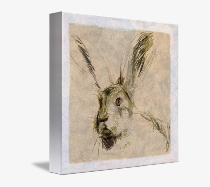 Jpg Library The Listening Hare By Tim Kahane - Poster: Kahane's Listening Hare, 41x41cm., transparent png download