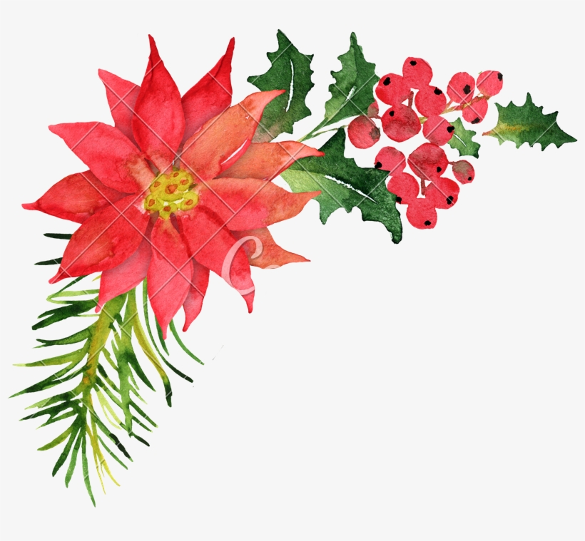 Christmas Bouquet With Poinsettia - Watercolor Poinsettia Bouquet, transparent png download
