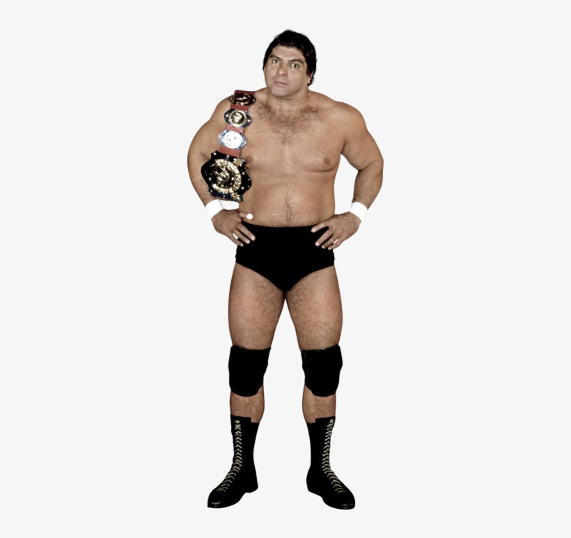 Don Muraco - Don Muraco Intercontinental Champion, transparent png download