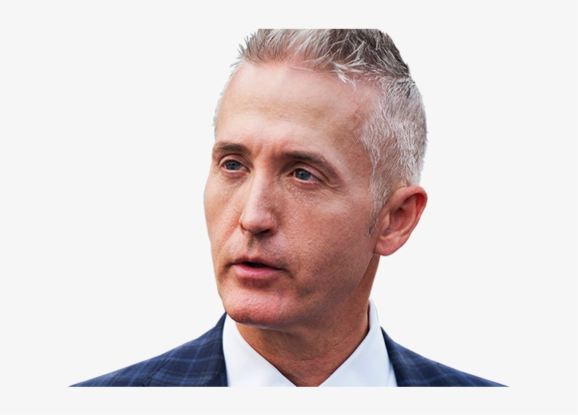 Hacked Email Reveals The Disturbing Thing Hillary Wanted - Trey Gowdy, transparent png download