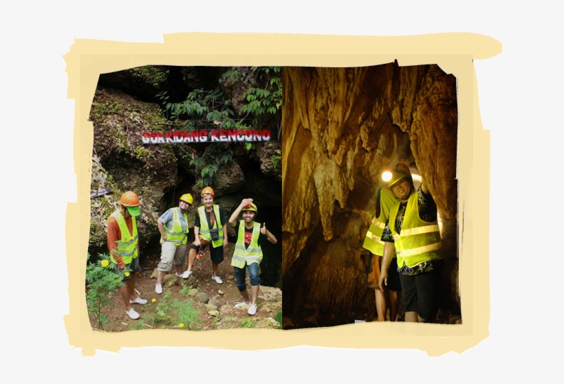 1 - Redwood, transparent png download