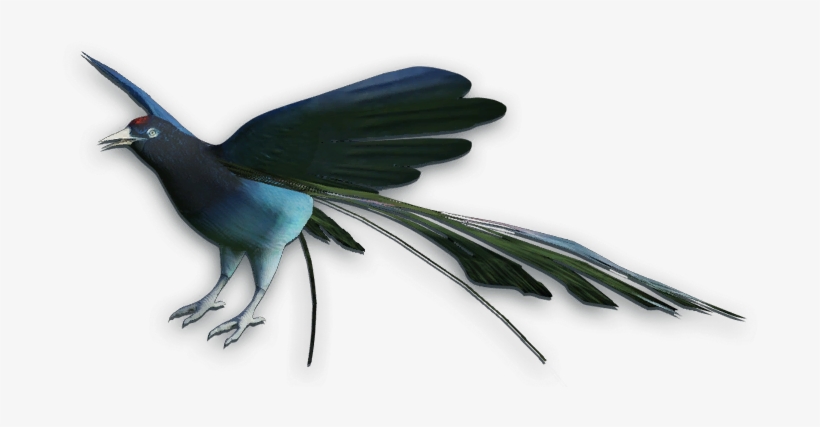 Transparent Eel Far Cry - Birds Of Paradise Png, transparent png download