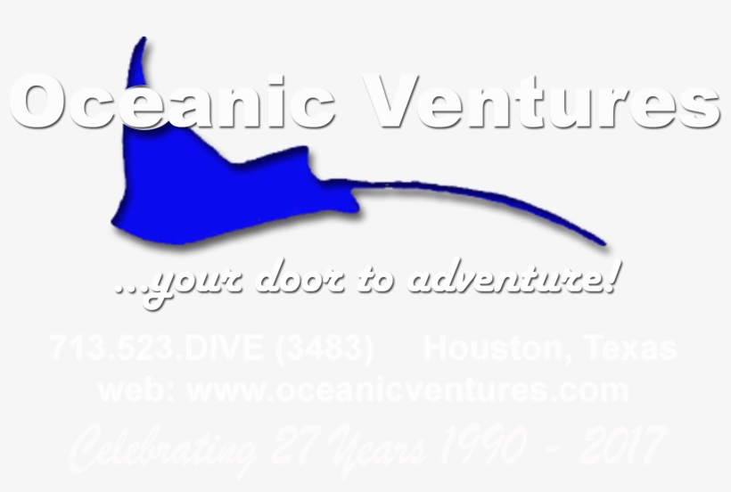 Adventure Travel, Continuing Education, Art Sale &, transparent png download