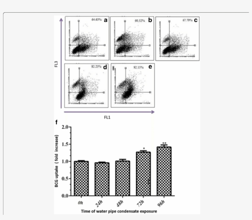 Time Course Of Water Pipe Condensate On The Uptake - Monochrome, transparent png download