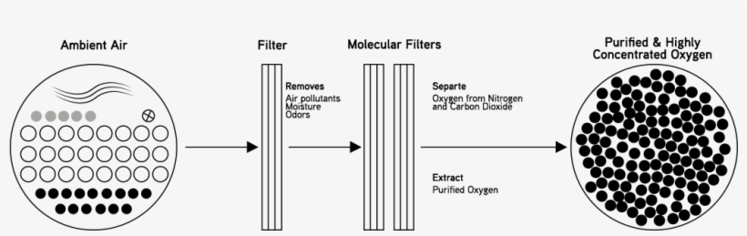 Patented Glass Decanter - Diagram, transparent png download